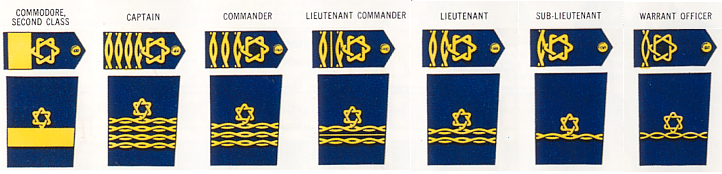 What do the colors and stripes mean on the Navy rank insignia?